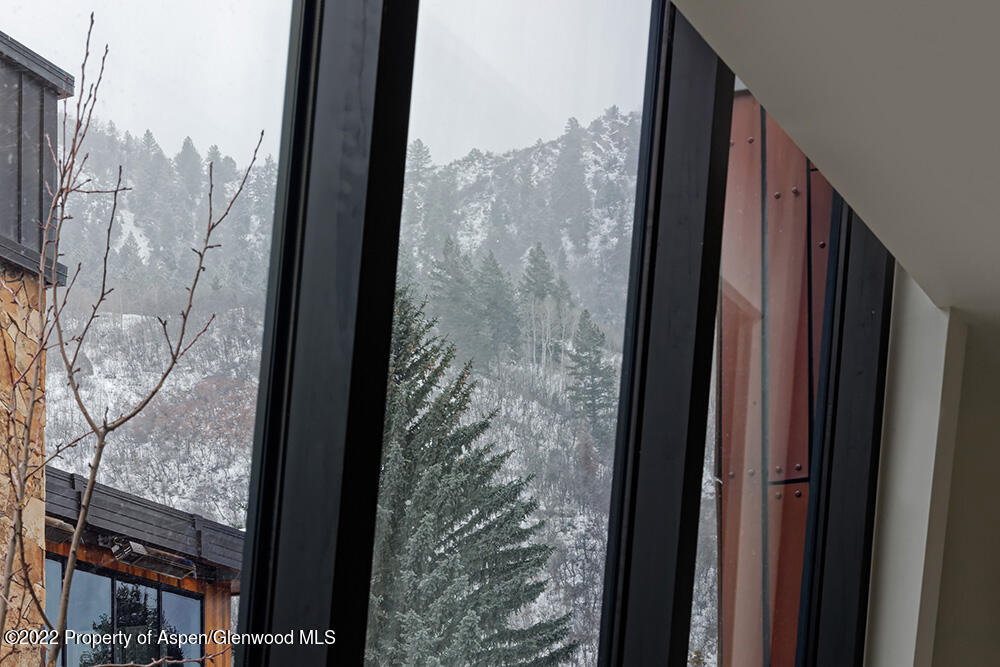 623 South Monarch Street, Unit C Aspen, CO 81611 - Photo 22 of 24