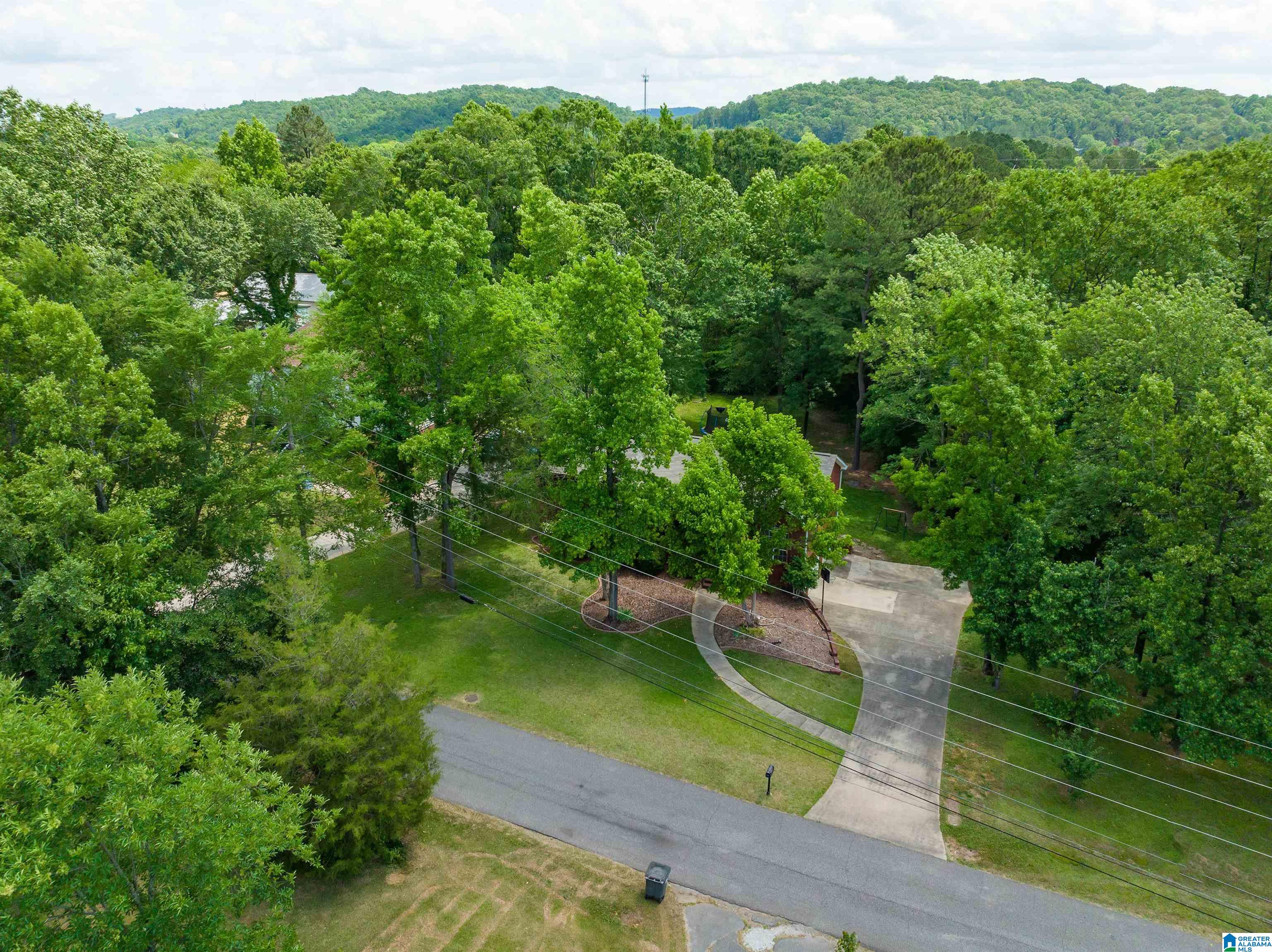 218 Rolling Mill Street Helena, AL 35080 - Photo 29 of 33