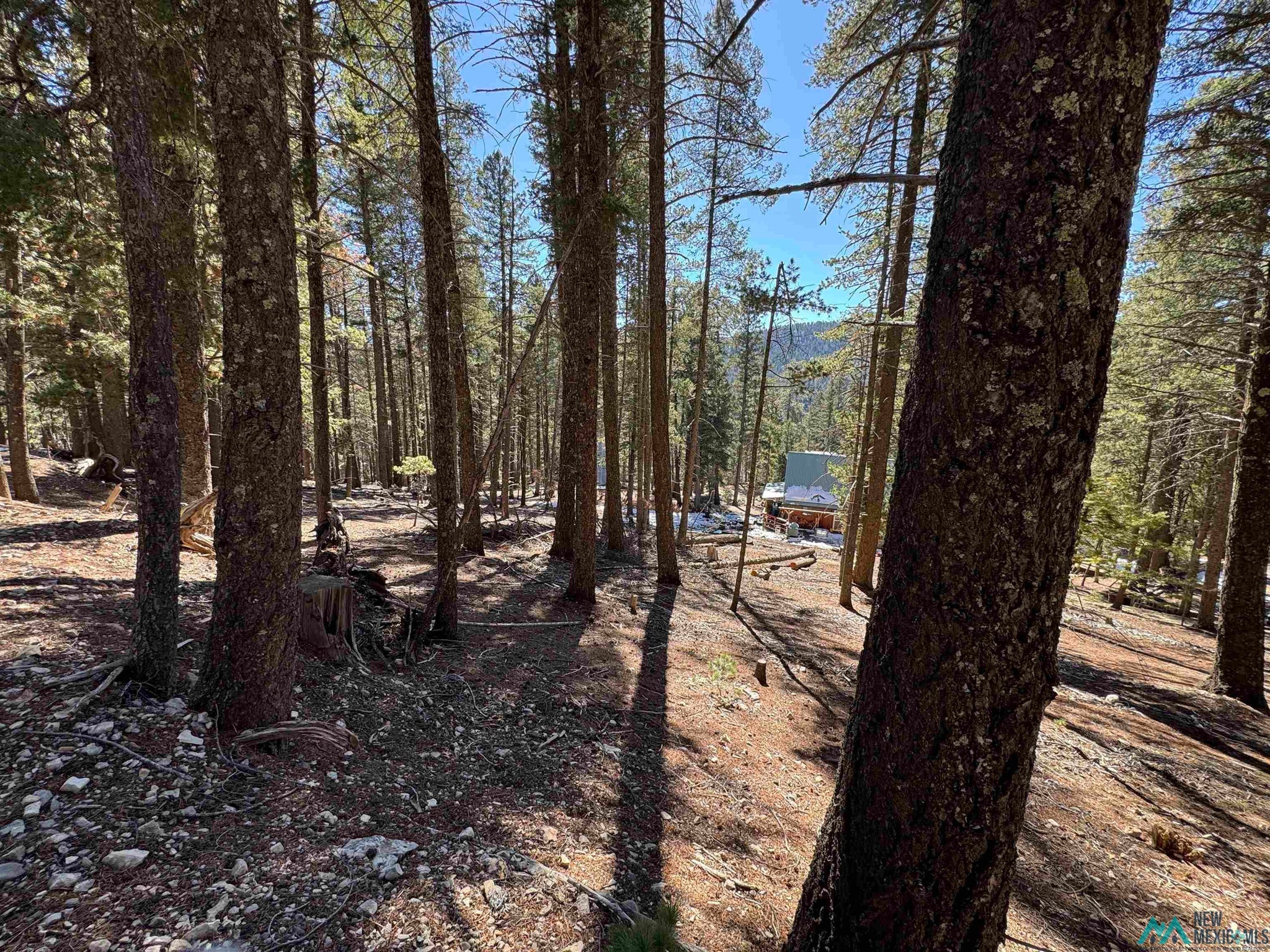 2 Lodge Spring Road Cloudcroft, NM 88317 - Photo 4 of 11 Gallery Image 4