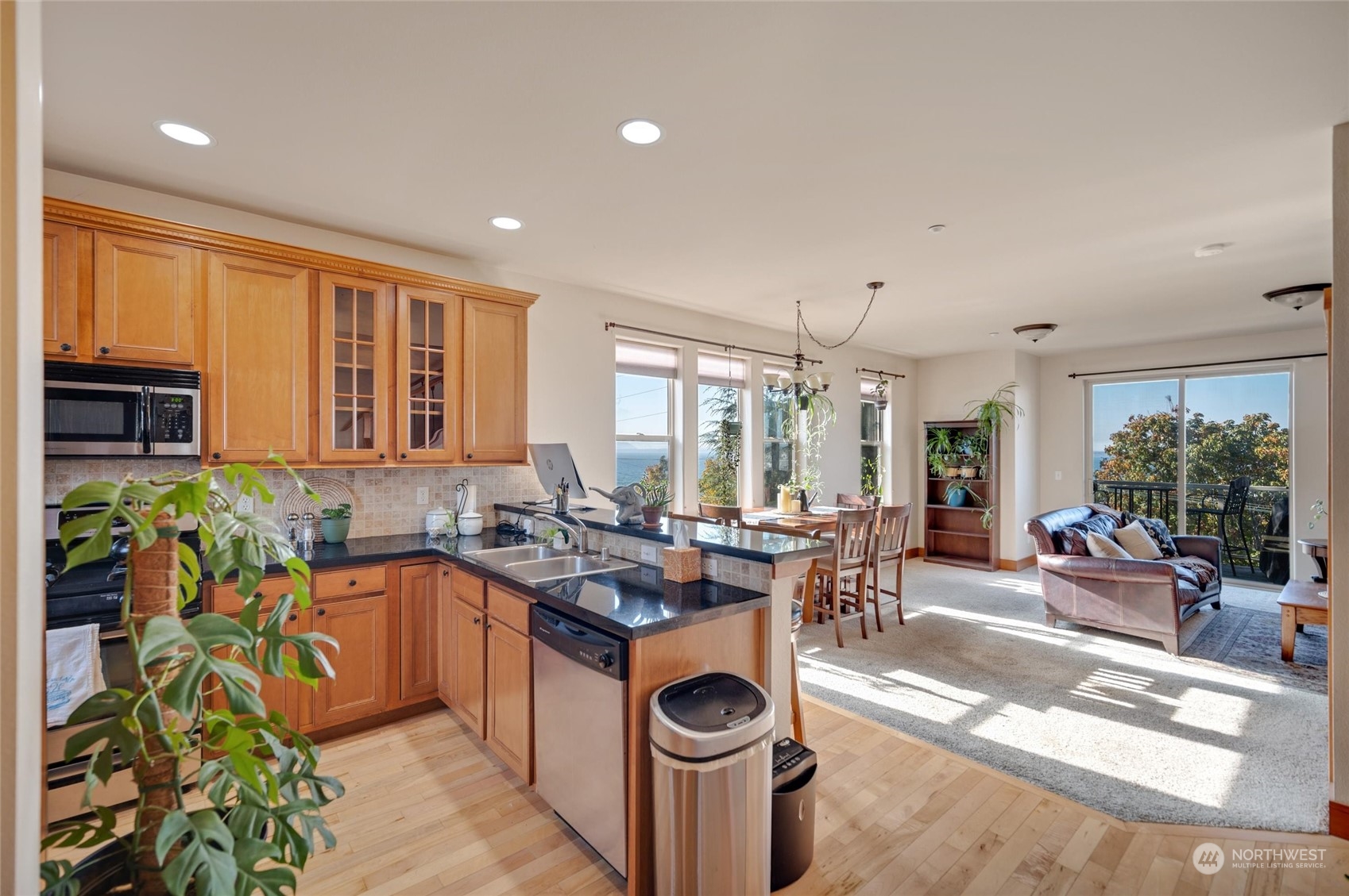 620 Boulevard, Unit 201 Bellingham, WA 98225 - Photo 2 of 20