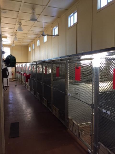 706 Kiser Station Road Friendsville, TN 37737 - Photo 14 of 18 Kennels