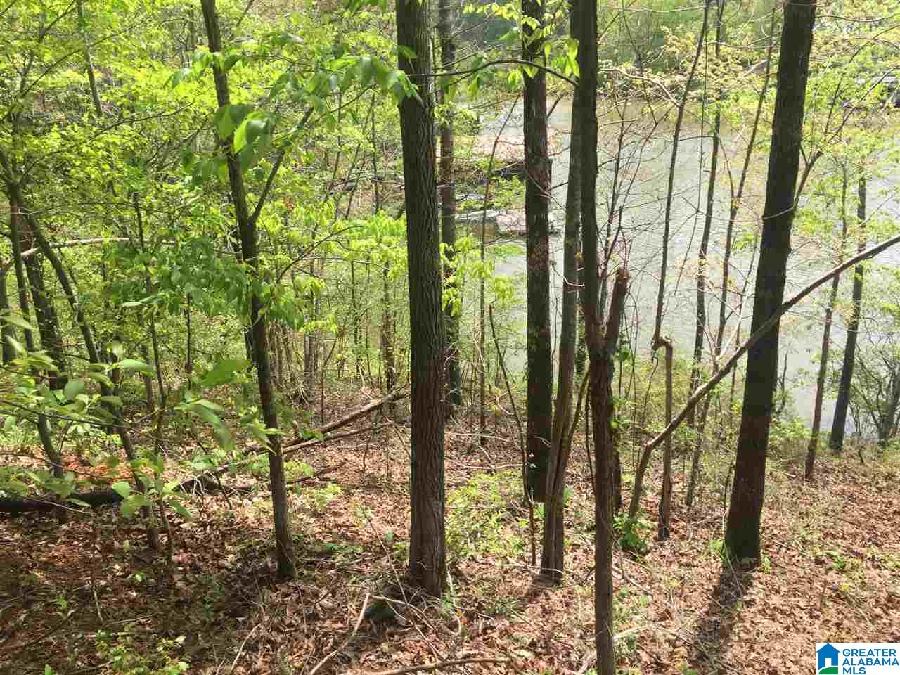 5 Ridge Lane, Unit 5 Shelby, AL 35143 - Photo 3 of 4