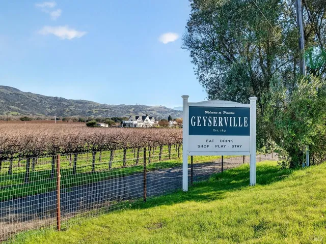 a view of a street with potted plants