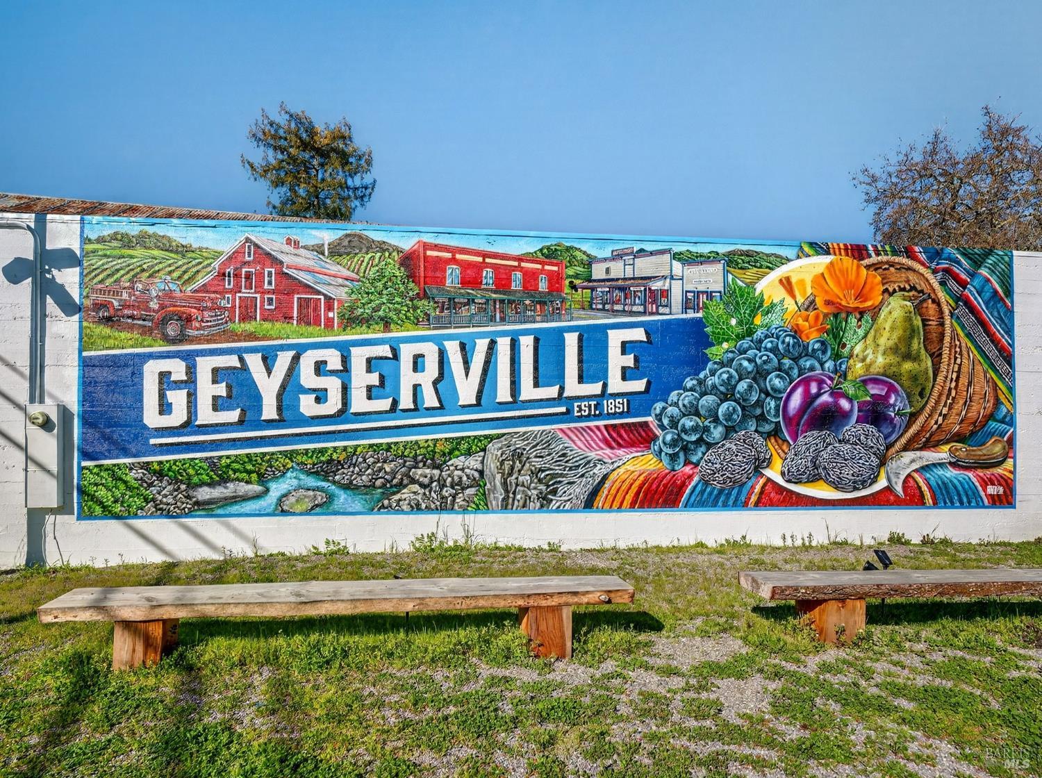 71 Crowell Street Geyserville, CA 95441 - Photo 34 of 42 a view of swimming pool with a garden in the back