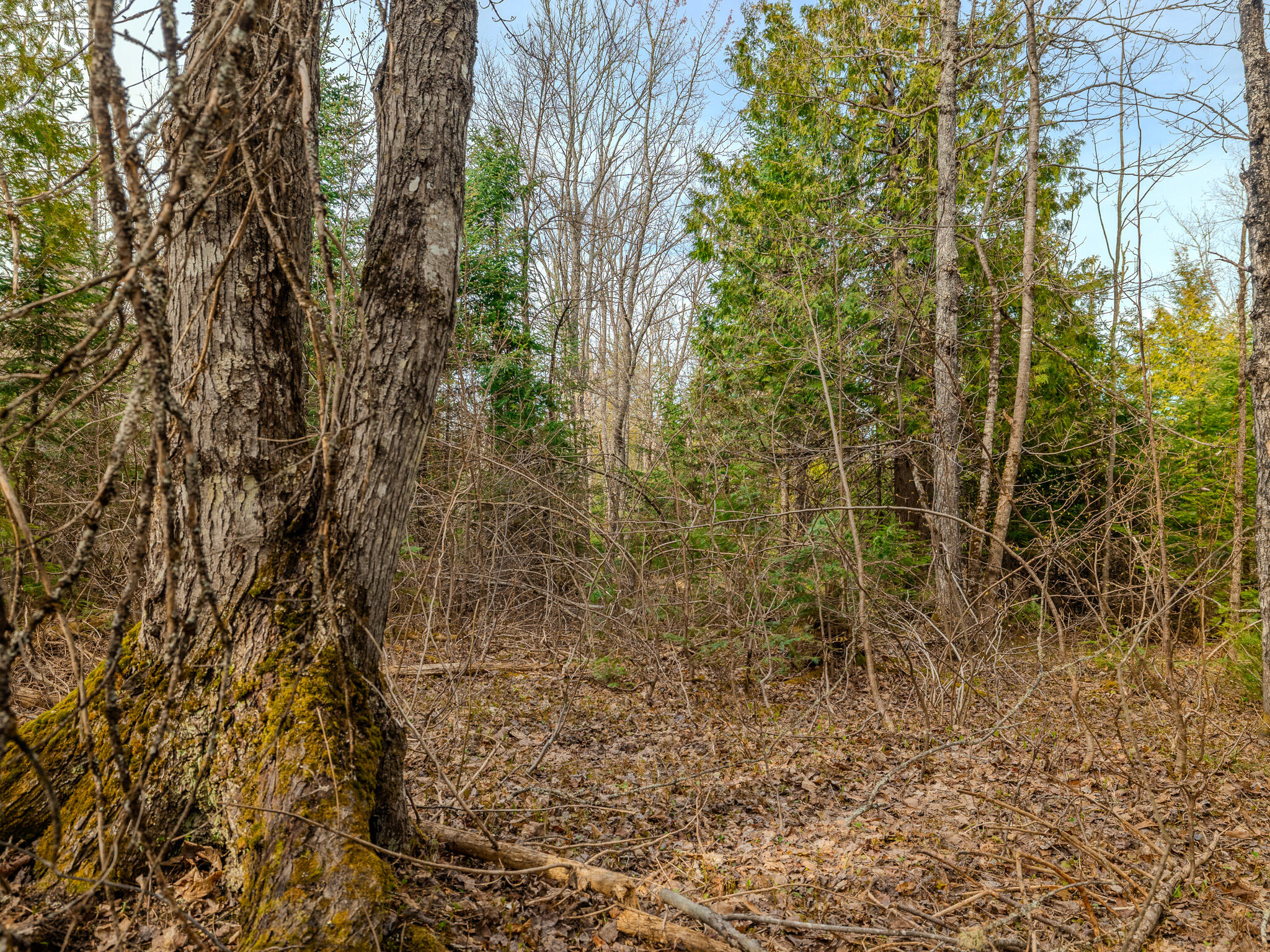 Lot 5 Horoscope Road Pelkie, MI 49958 - Photo 7 of 14 048A2174-HDR