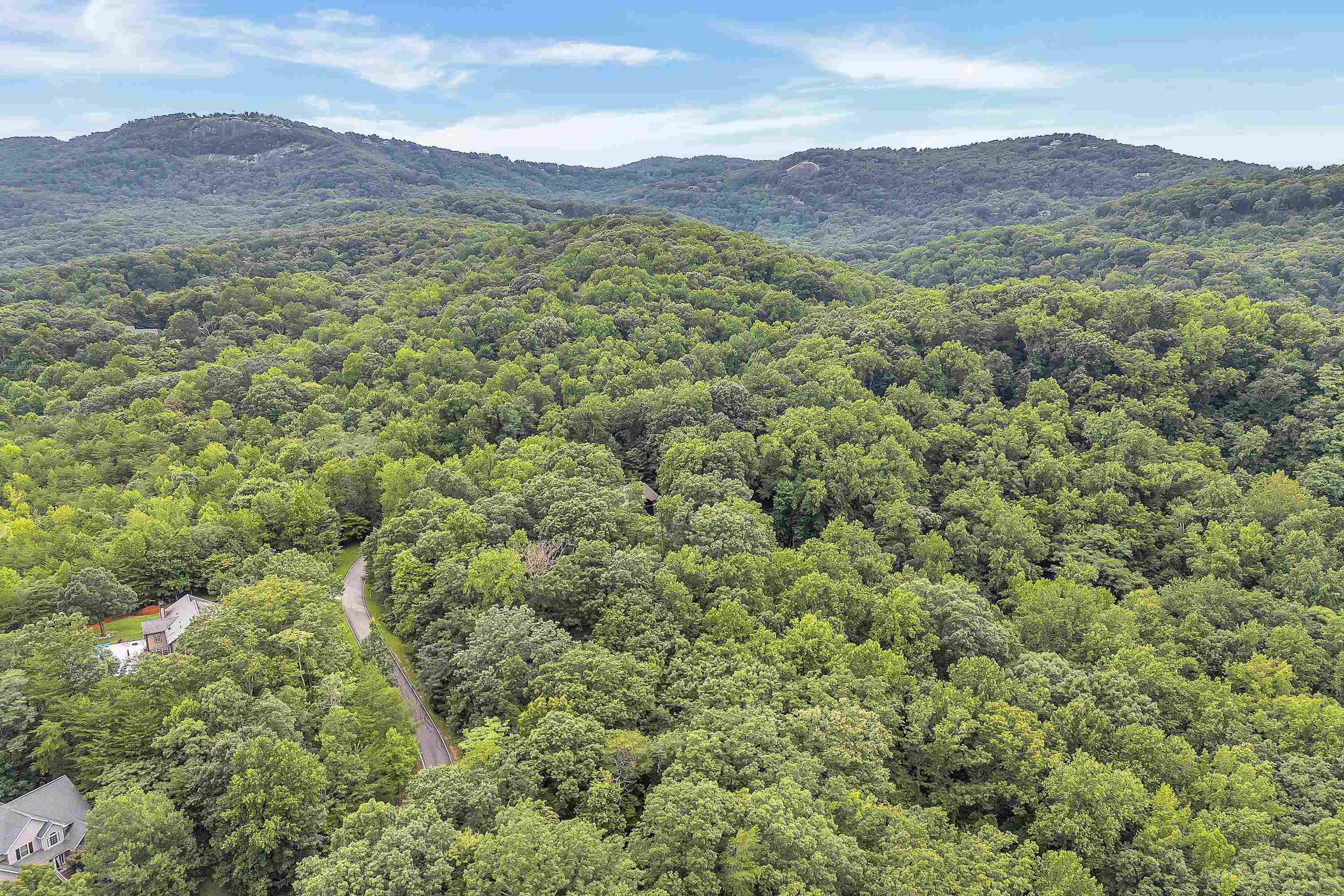 33 Angleblade Road Landrum, SC 29356 - Photo 11 of 23