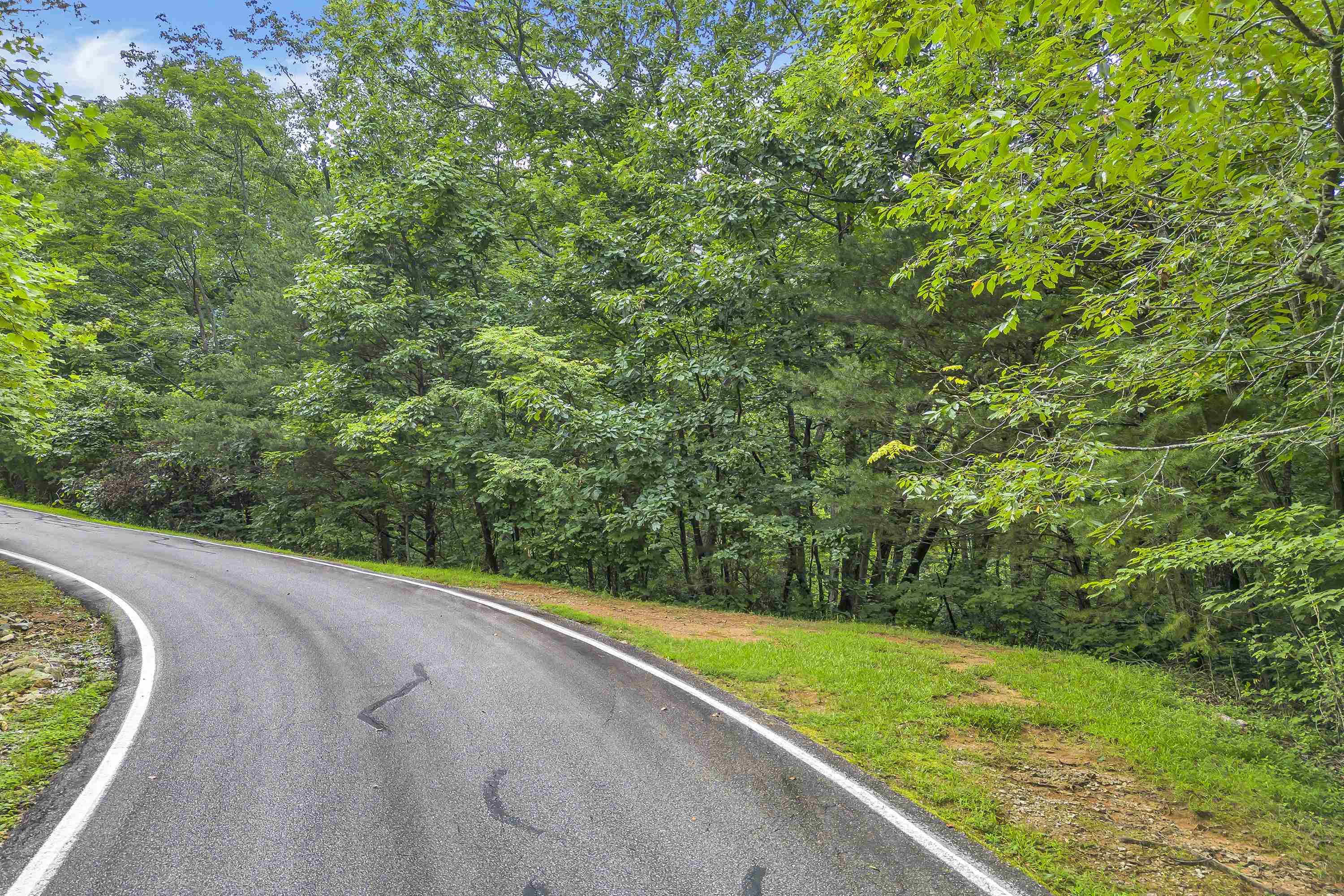 33 Angleblade Road Landrum, SC 29356 - Photo 16 of 23