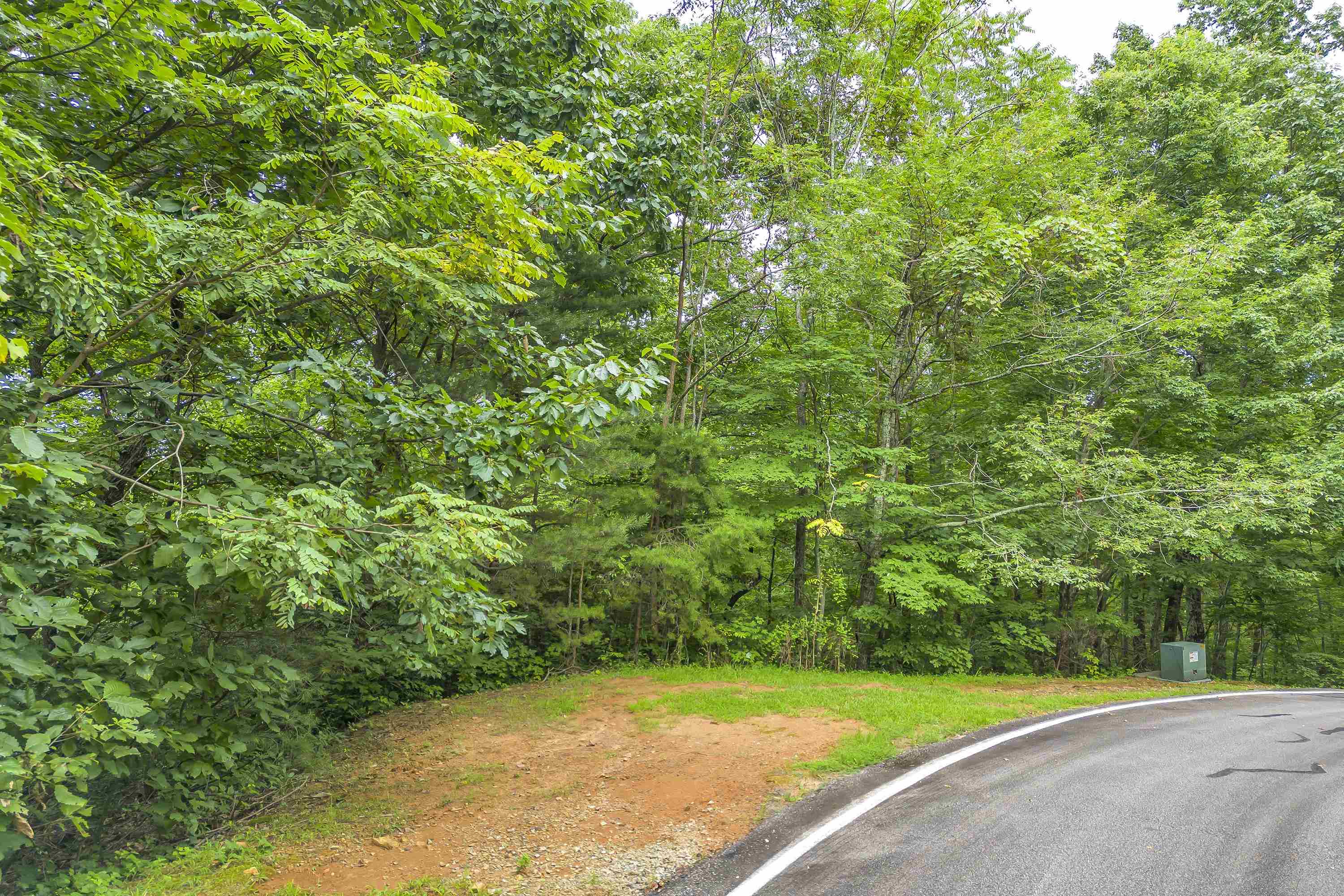 33 Angleblade Road Landrum, SC 29356 - Photo 19 of 23
