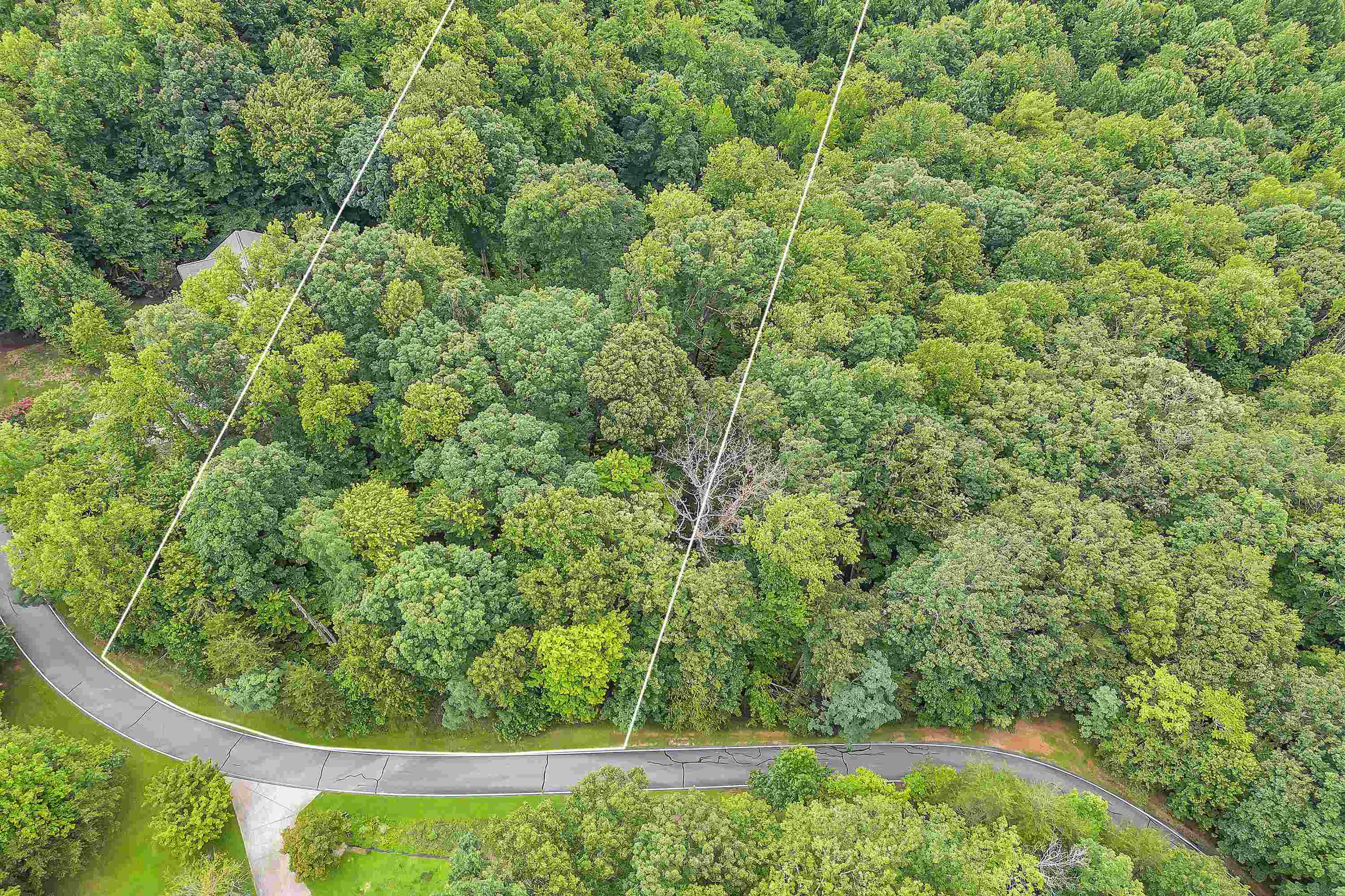 33 Angleblade Road Landrum, SC 29356 - Photo 5 of 23