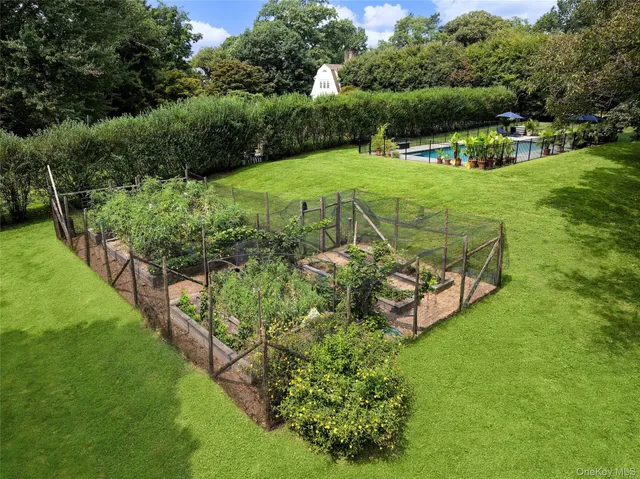 a view of a garden with a bench