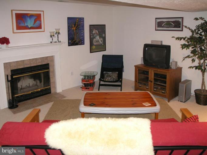 43154 Gatwick Square Ashburn, VA 20147 - Photo 21 of 28 Recreation Room