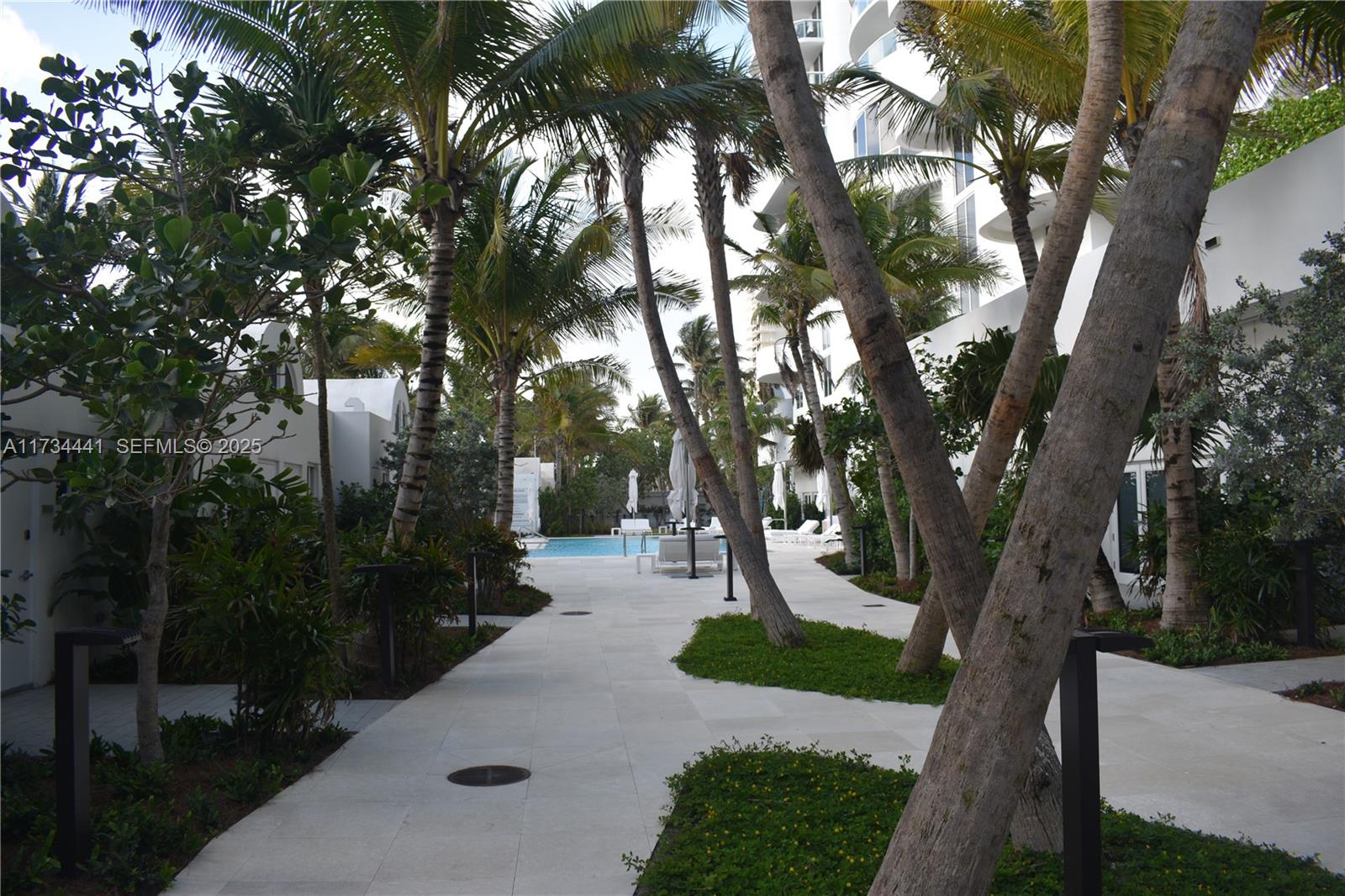 6365 Collins Avenue, Unit 1901 Miami Beach, FL 33141 - Photo 57 of 84 a park view with large trees