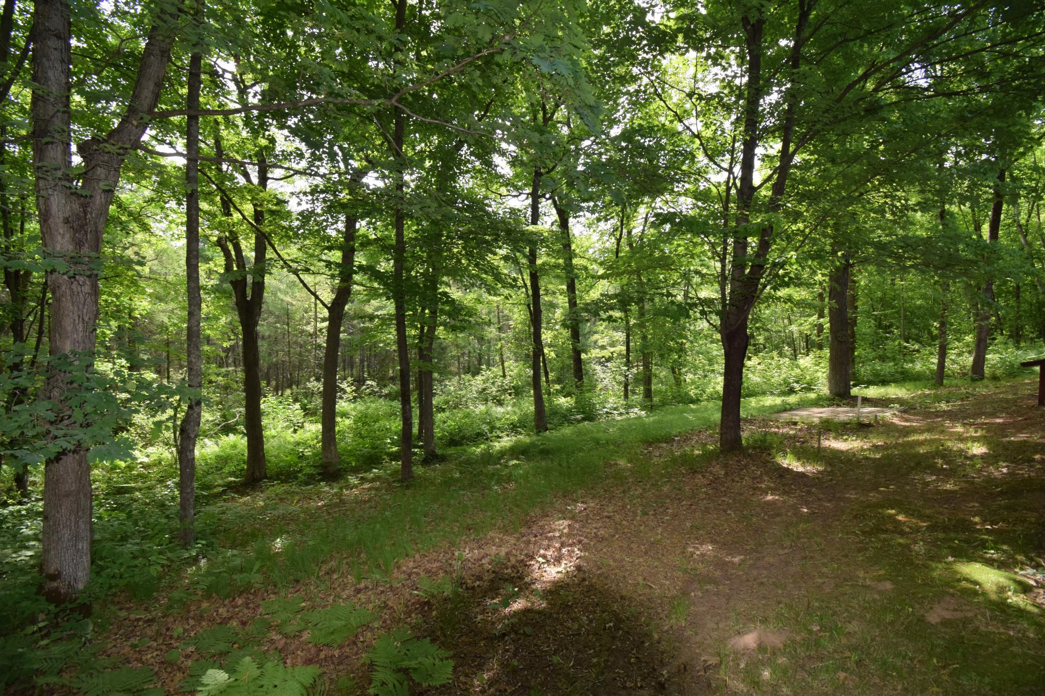 7118 Gordon Road Siren, WI 54872 - Photo 23 of 31