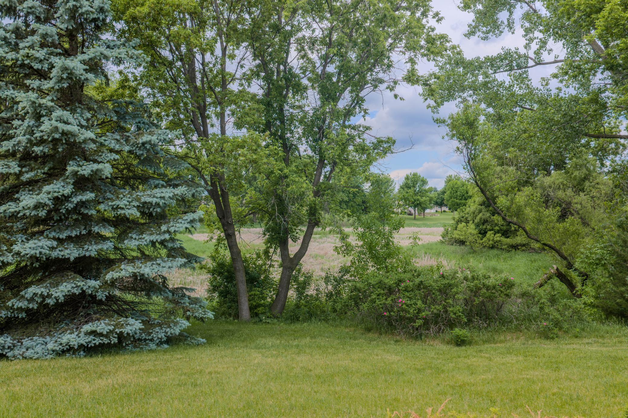 22906 Turtle Creek Circle Cold Spring, MN 56320 - Photo 8 of 18