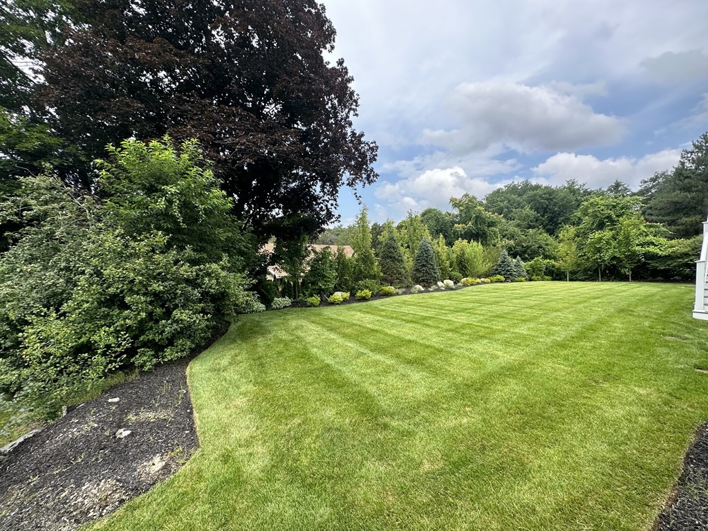 480 Dudley Road Newton, MA 02459 - Photo 33 of 35 a view of a garden with lawn chairs
