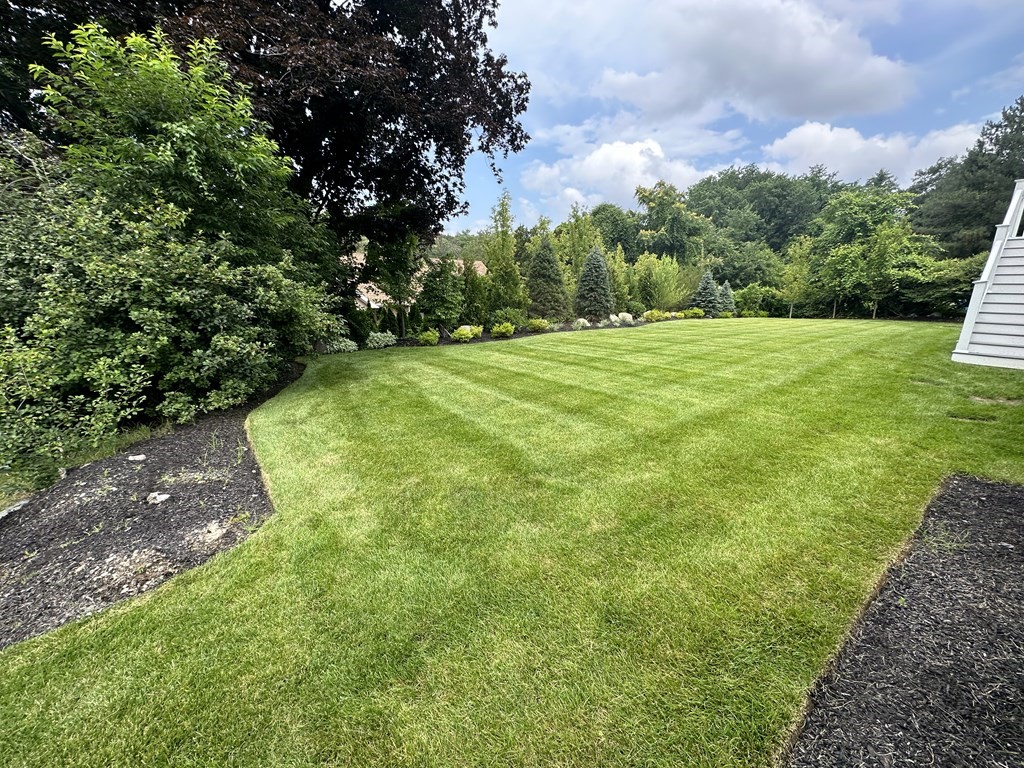 480 Dudley Road Newton, MA 02459 - Photo 34 of 35 a view of a park with large trees
