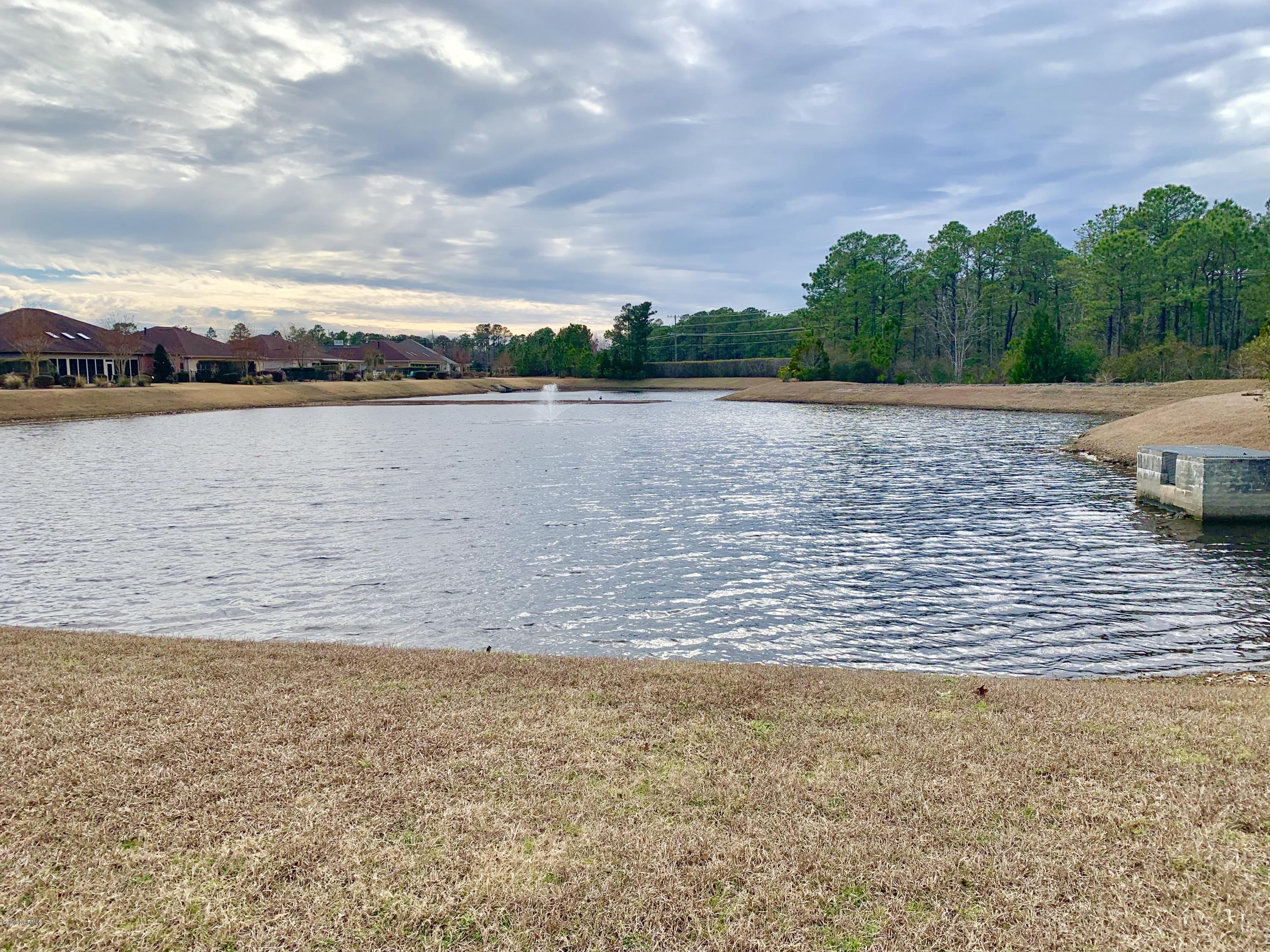 6601 Motts Village Road Wilmington, NC 28412 - Photo 29 of 29 Community pond