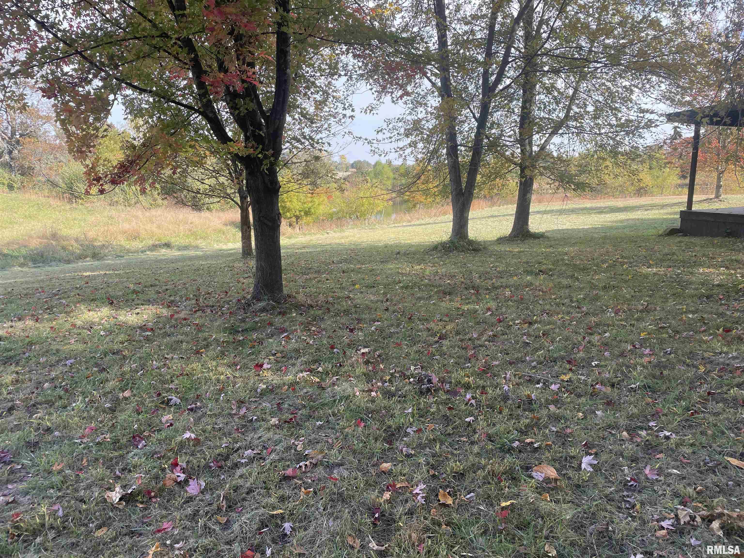 4493 England Road Salem, IL 62881 - Photo 11 of 47