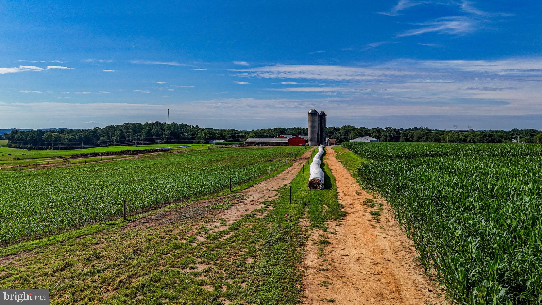 255 Pusey Mill Road Cochranville, PA 19330 - Photo 3 of 19 Vibrant fields leading to a rustic farm.