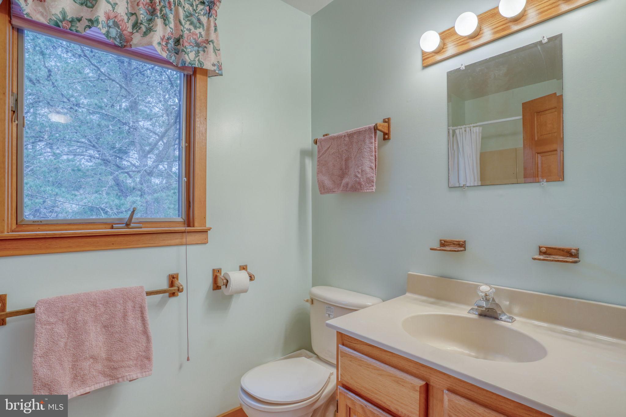 5 Bay Point Road Millsboro, DE 19966 - Photo 52 of 83 a bathroom with a sink vanity mirror and toilet