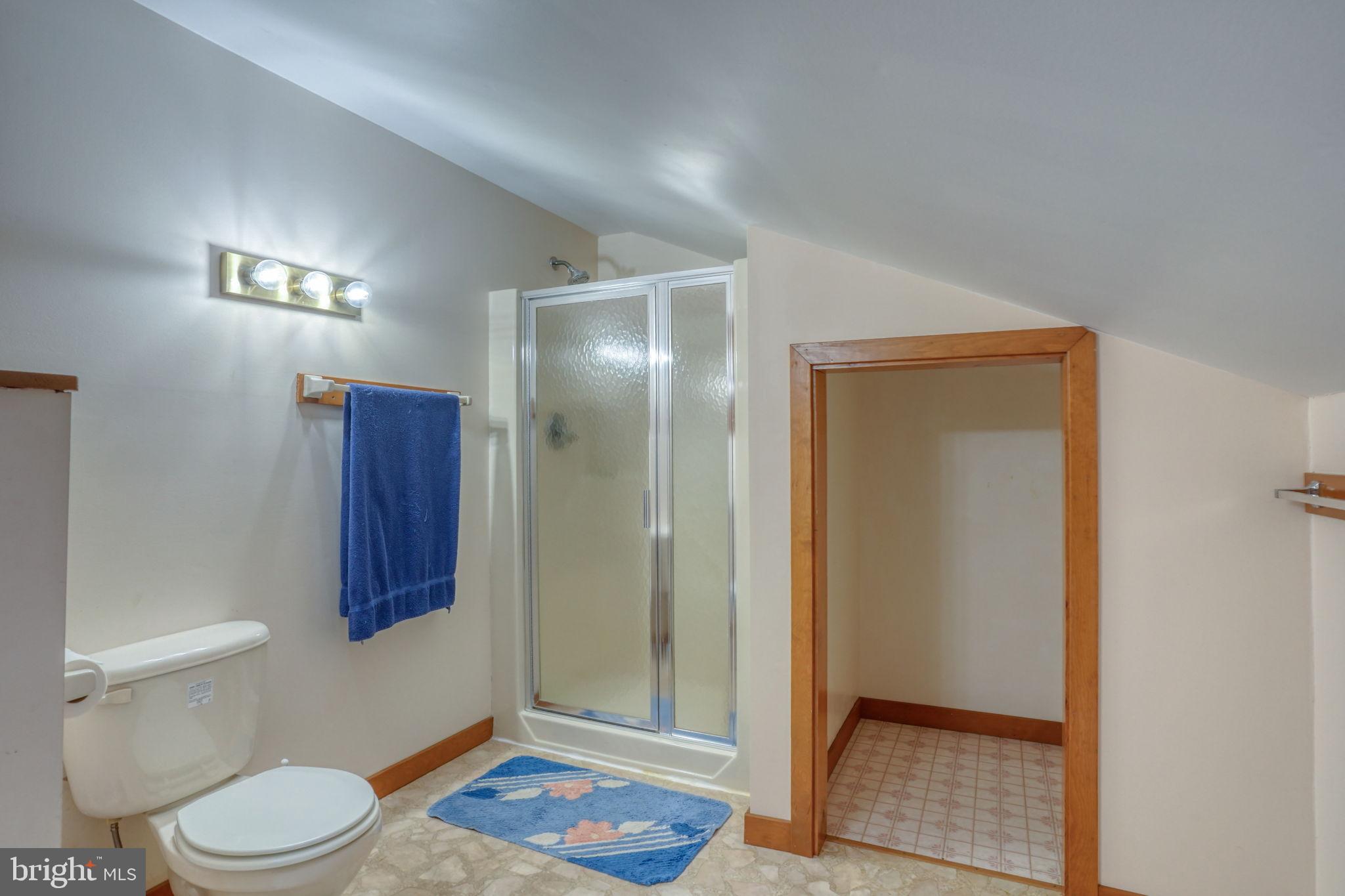 5 Bay Point Road Millsboro, DE 19966 - Photo 65 of 83 a bathroom with a toilet and a shower