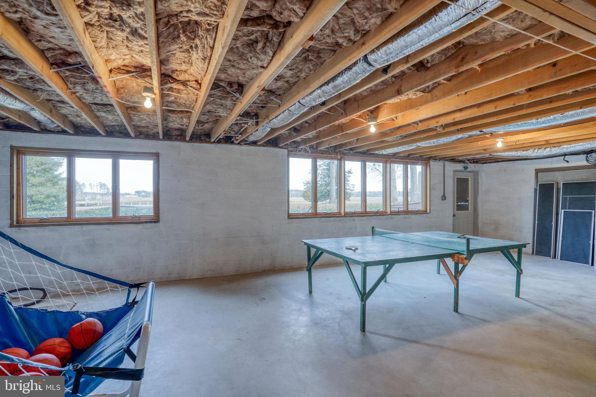 5 Bay Point Road Millsboro, DE 19966 - Photo 72 of 83 Basement with windows and walkout