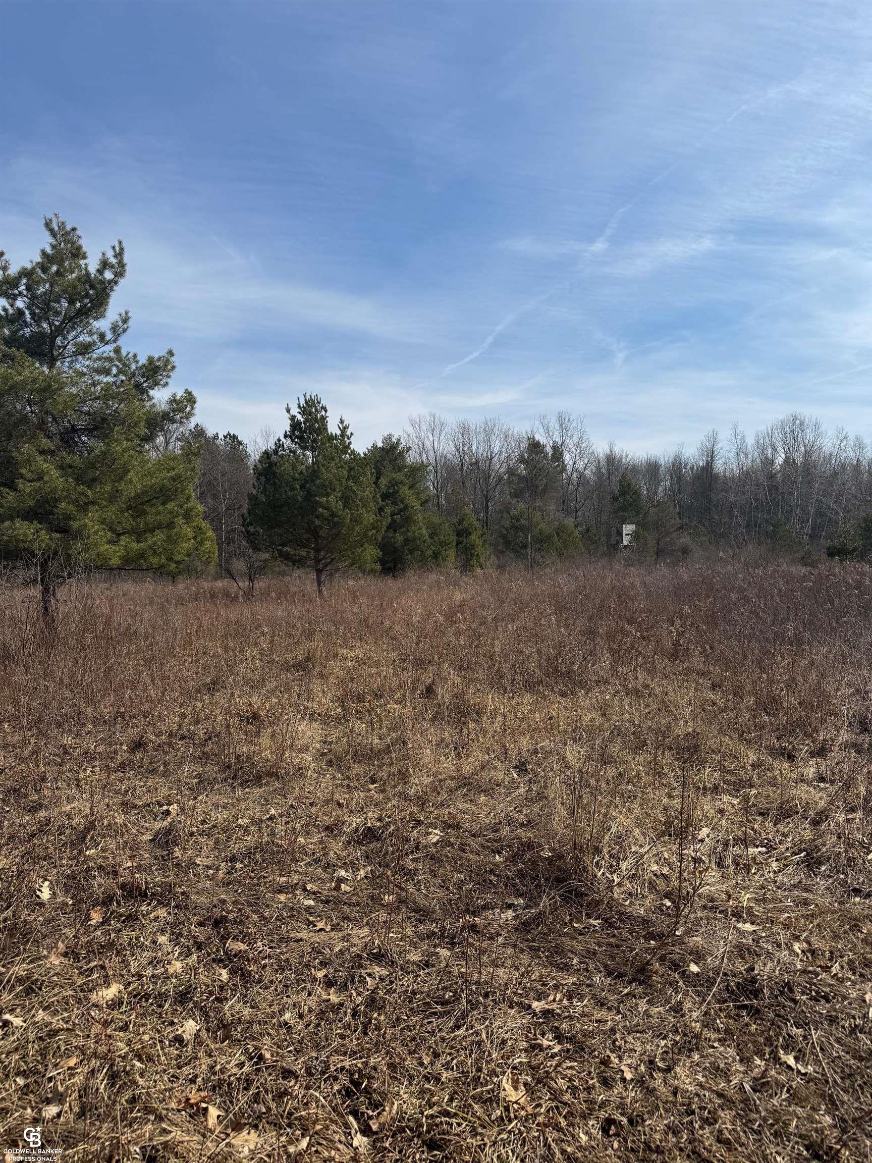 11105 Bryce Road Emmett, MI 48022 - Photo 27 of 44 50169414-e057cbaa-0bce-48d4-a065-cbca9e4f10a8.JPG