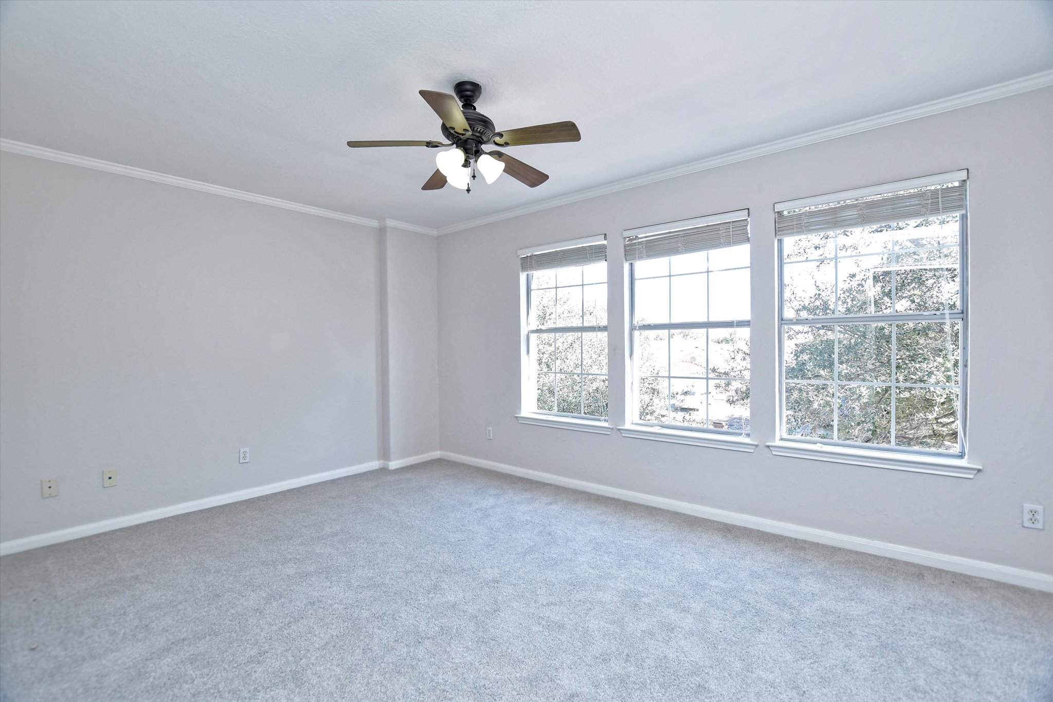 1004 Terra Street Round Rock, TX 78665 - Photo 23 of 28