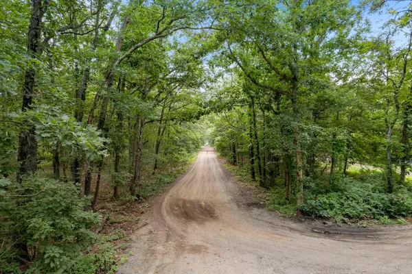 a view of a pathway with a tree