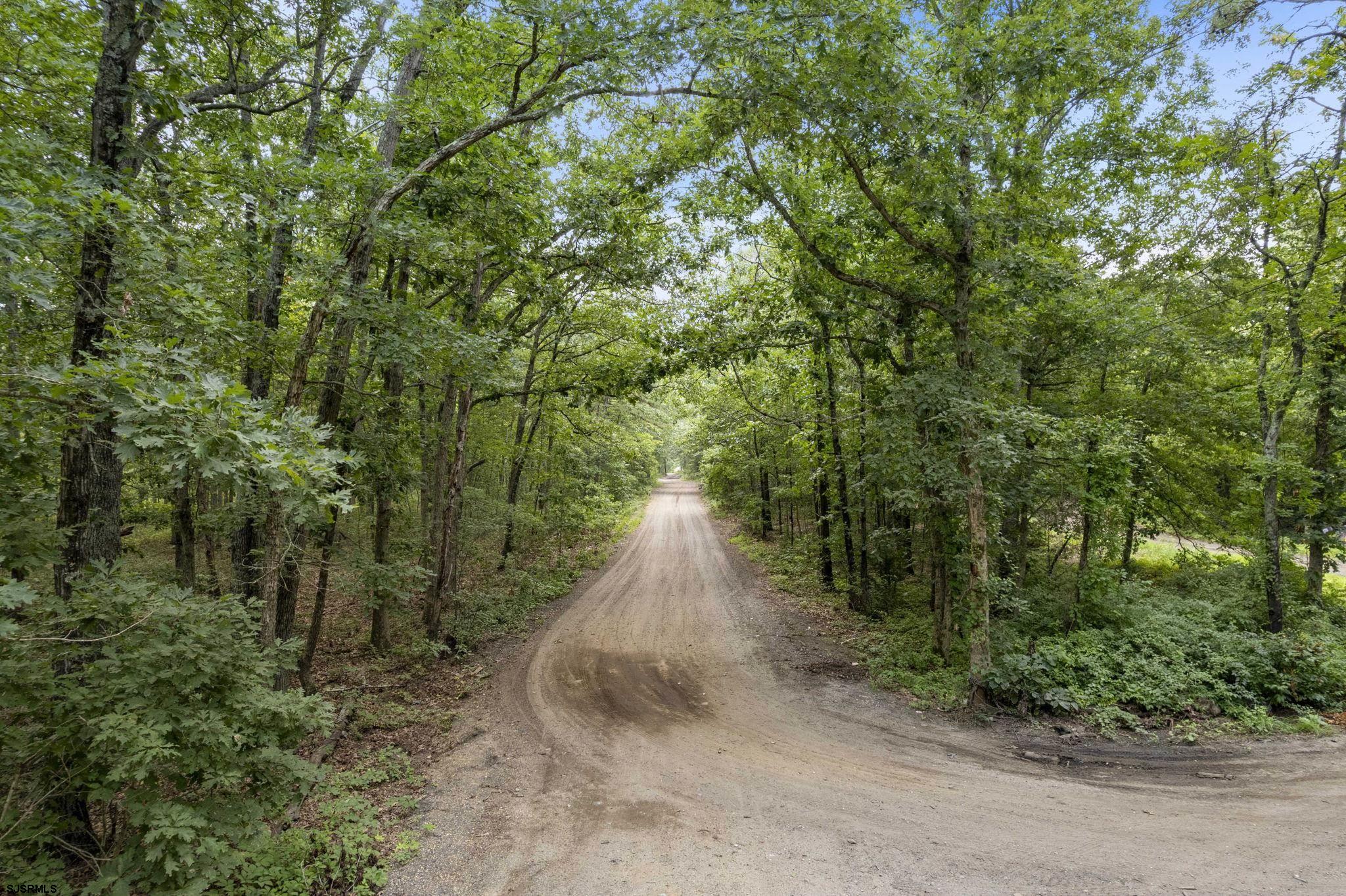 a view of a pathway with a tree
