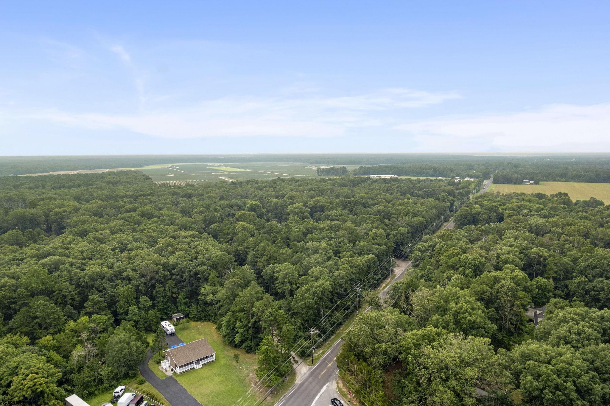 3030 South 1st Road Hammonton, NJ 08037 - Photo 8 of 9 an aerial view of residential houses with outdoor space and trees