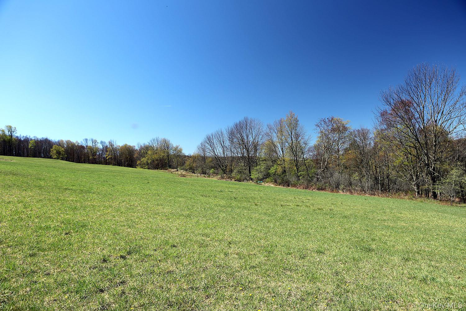 a view of a field with trees in the background