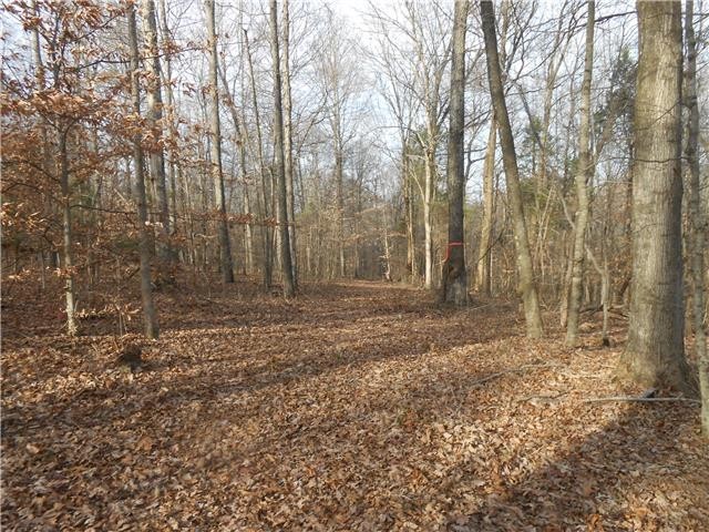 103 Morris Road Westmoreland, TN 37186 - Photo 12 of 13 a view of outdoor space with trees