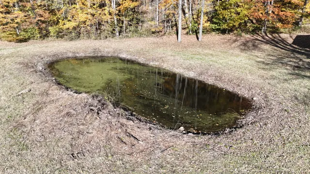 a view of outdoor space and yard