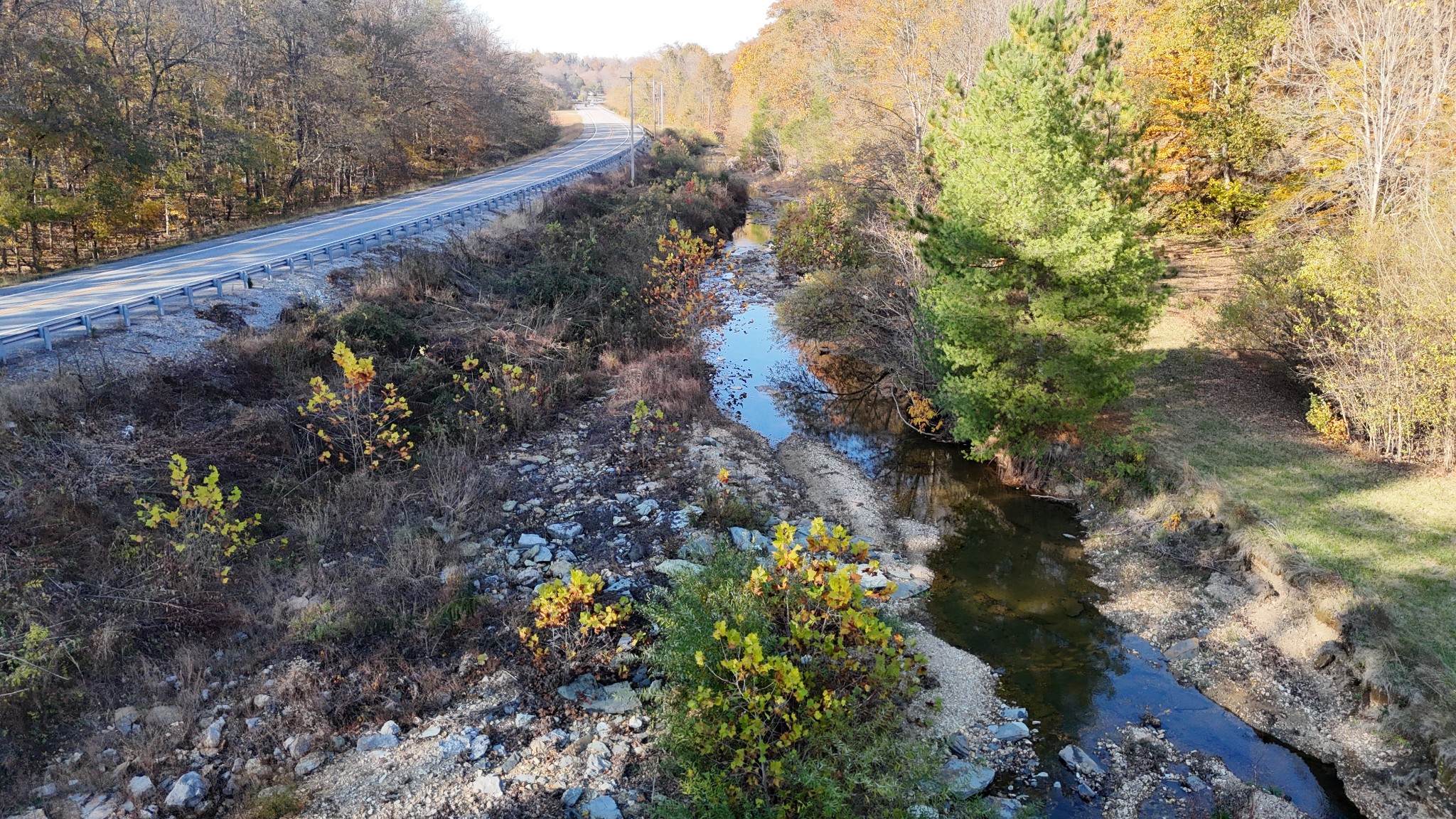 103 Morris Road Westmoreland, TN 37186 - Photo 7 of 13 a view of a yard with plants and large trees