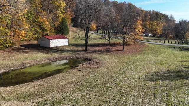 a view of a park with large trees