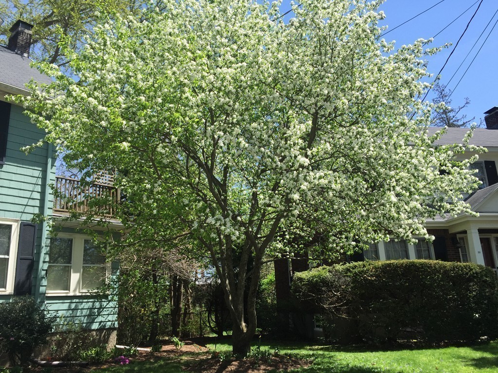 26 Preble Gardens Road Belmont, MA 02478 - Photo 27 of 30 Gallery Image 27