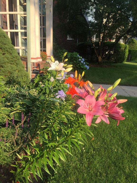 26 Preble Gardens Road Belmont, MA 02478 - Photo 29 of 30 Gallery Image 29