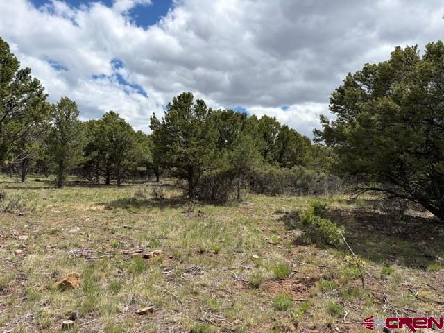 Lot 4 Tower Road Ridgway, CO 81432 - Photo 9 of 14