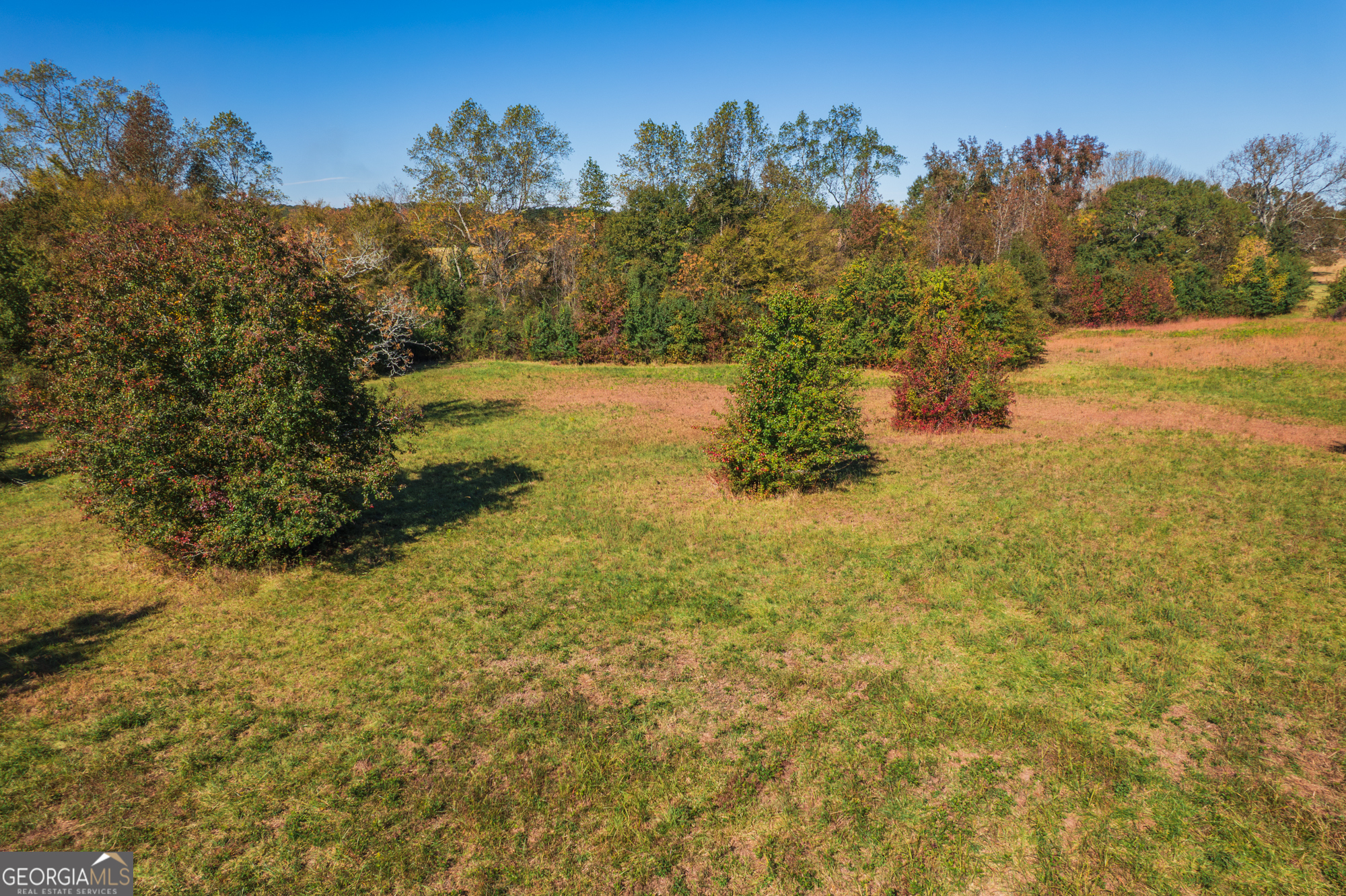 724 Teamon Road Griffin, GA 30223 - Photo 11 of 43