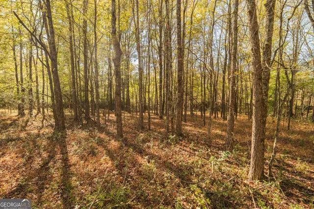 a view of outdoor space with wooden fence