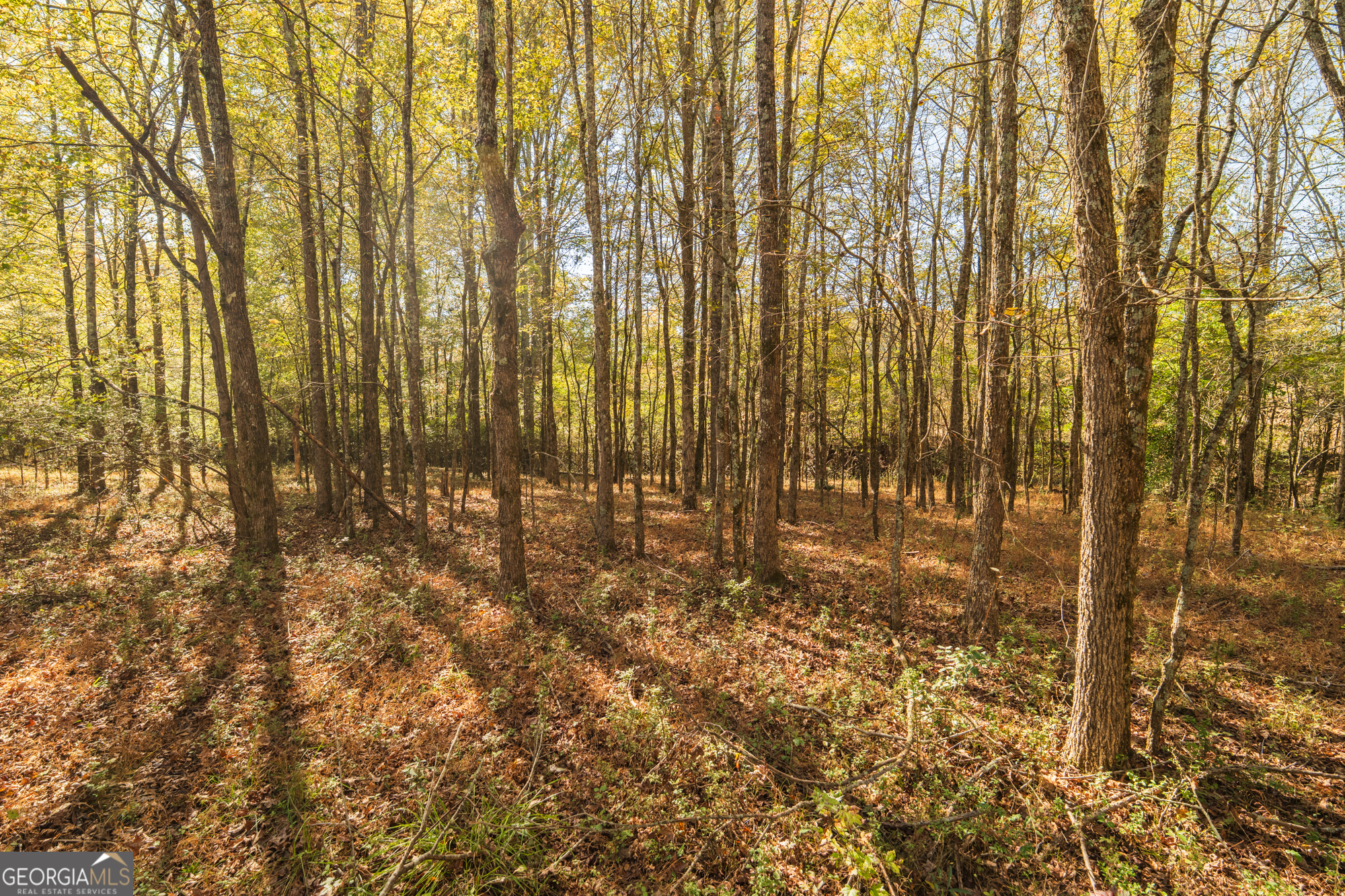 724 Teamon Road Griffin, GA 30223 - Photo 41 of 43