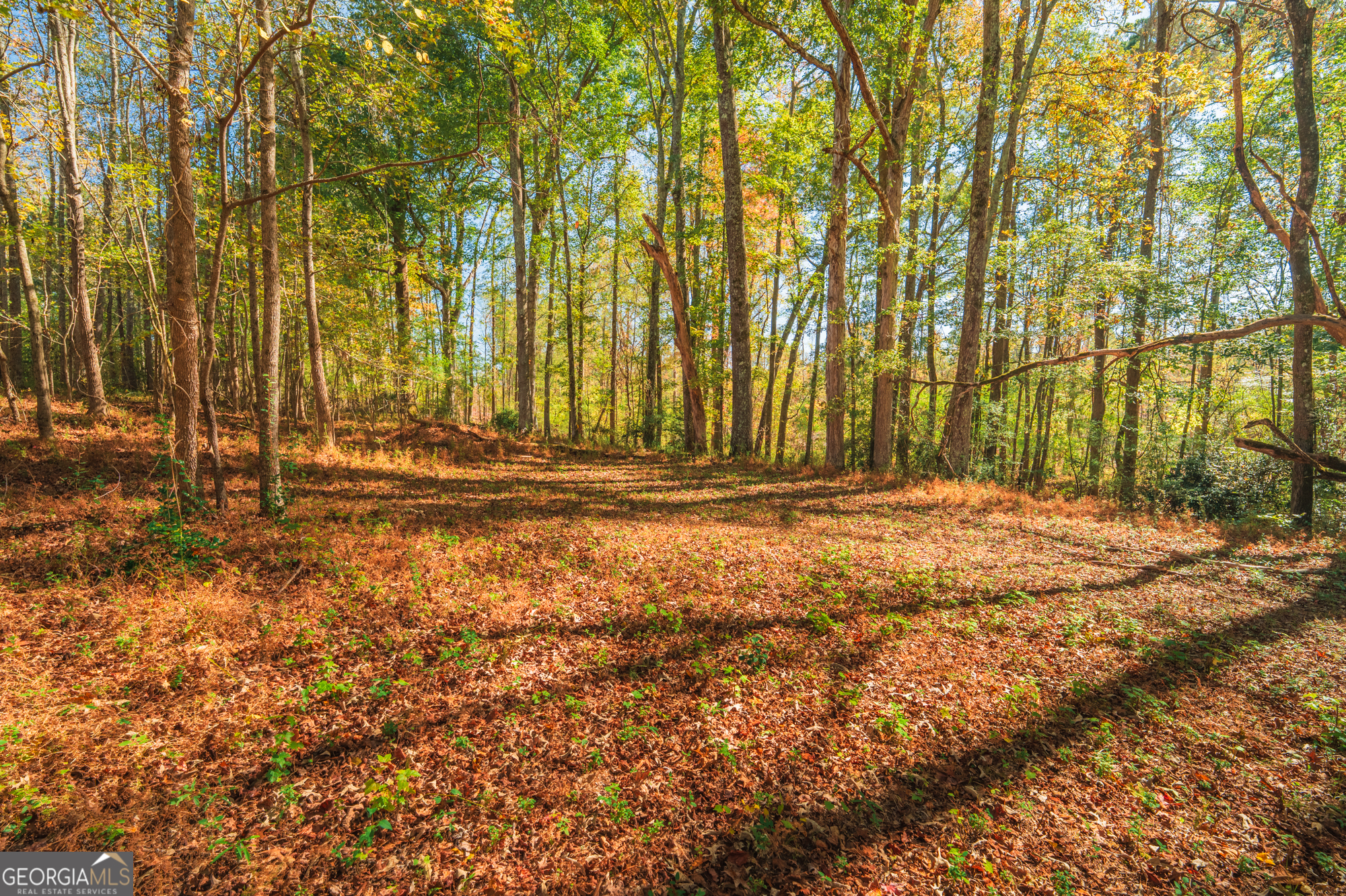 724 Teamon Road Griffin, GA 30223 - Photo 42 of 43