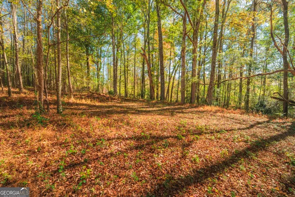 $995,000 | 724 Teamon Road, Griffin, GA 30223