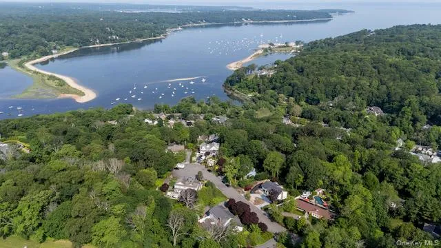 an aerial view of a houses with a lake view