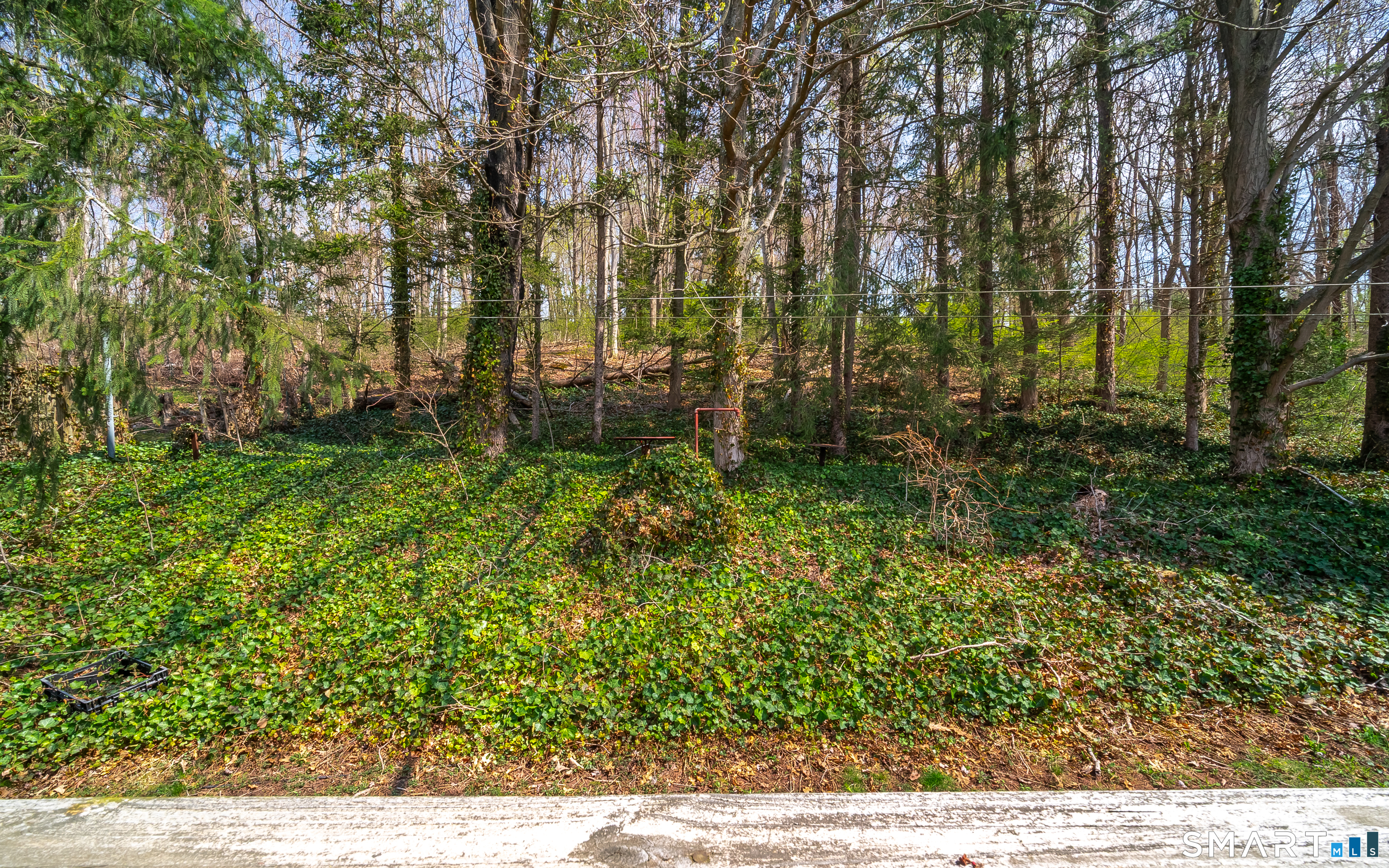 127 Bee Street Meriden, CT 06450 - Photo 32 of 32 a view of backyard with green space