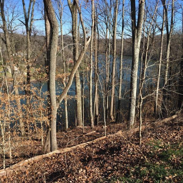 Lot 5 Sheerwater Road Kingston, TN 37763 - Photo 1 of 16 Image 6-11-18 at 12.52 PM (3)