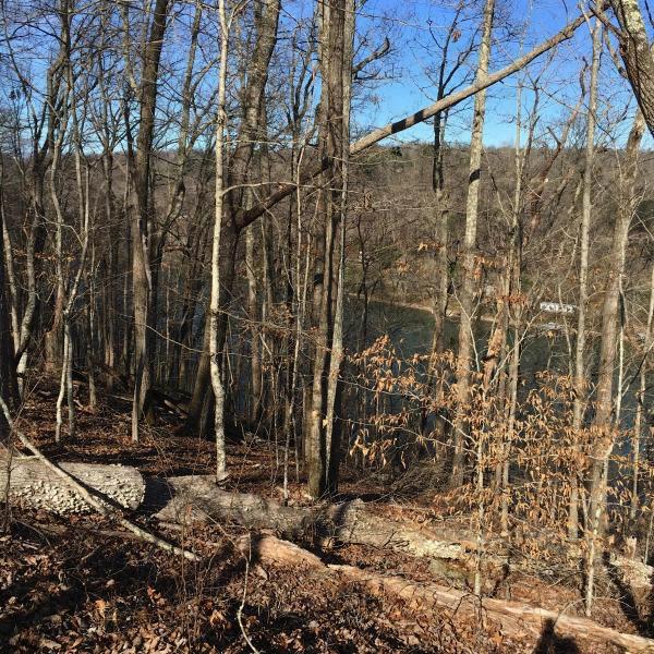 Lot 5 Sheerwater Road Kingston, TN 37763 - Photo 2 of 16 Image 6-11-18 at 12.52 PM