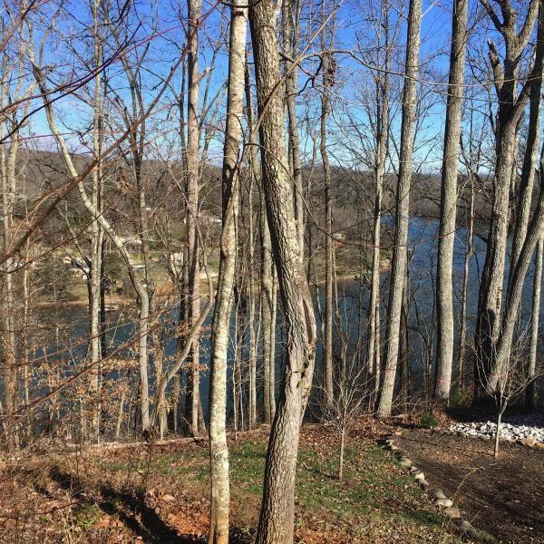 Lot 5 Sheerwater Road Kingston, TN 37763 - Photo 3 of 16 Image 6-11-18 at 12.52 PM (1)