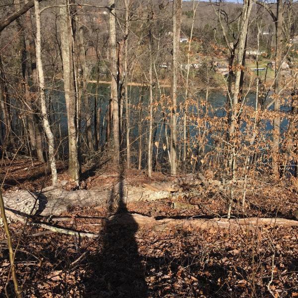 Lot 5 Sheerwater Road Kingston, TN 37763 - Photo 8 of 16 Image 6-11-18 at 12.53 PM (3)